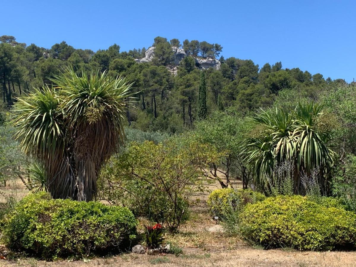 Ferienhaus Le Domaine De L'aiguille Alpilles, Eygalieres, Saint Remy De Provence *